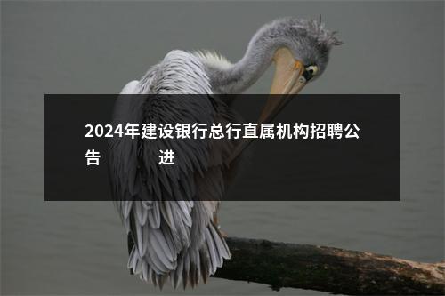 2024年建设银行总行直属机构招聘公告                进入阅读模式 图片