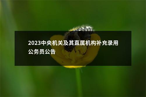 2023中央机关及其直属机构补充录用公务员公告                 进入阅读模式 图片