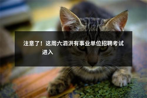 注意了！这周六泗洪有事业单位招聘考试                进入阅读模式 图片
